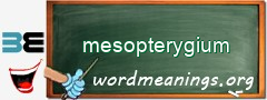WordMeaning blackboard for mesopterygium